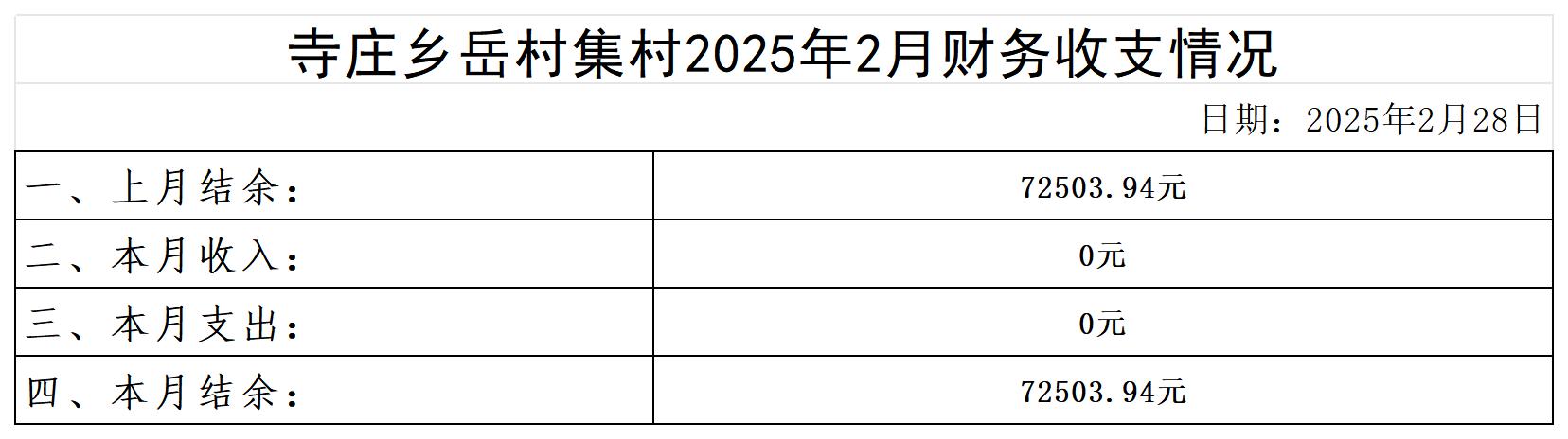 寺庄乡岳村集村_2025年2月.jpg